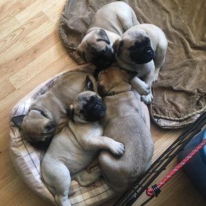 Meet your Posher, Cheryl